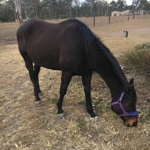 Meet your Posher, Sue